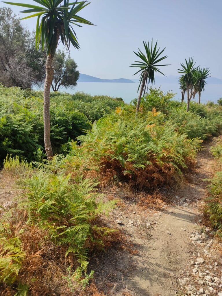 The path leading to the old anchor secret beach in Albania