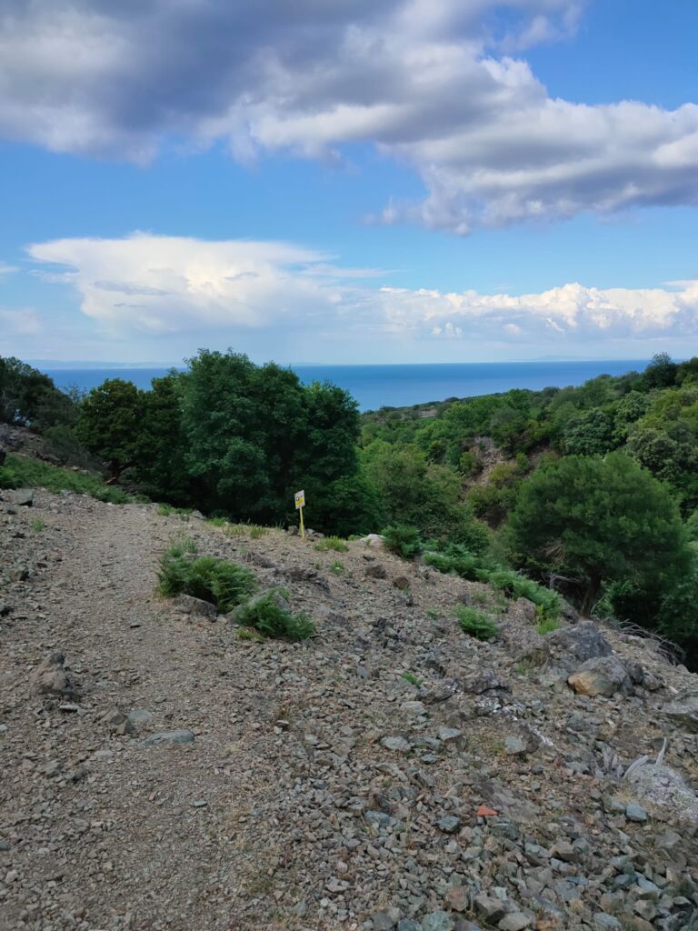 A path leading to a waterfall in Thema