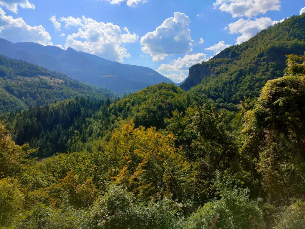 a forest around Rugova Canyon