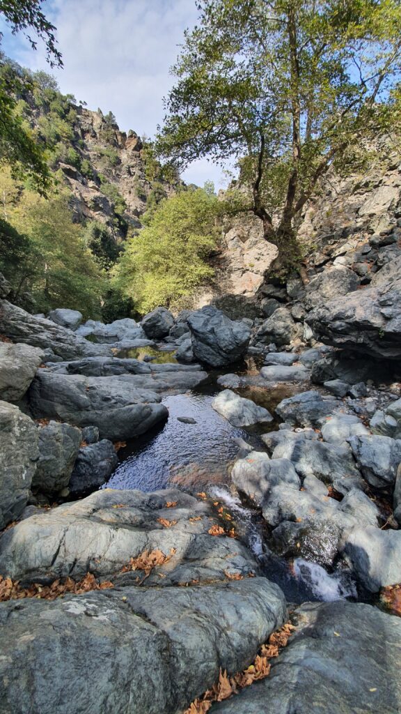 A river flowing a gorge 