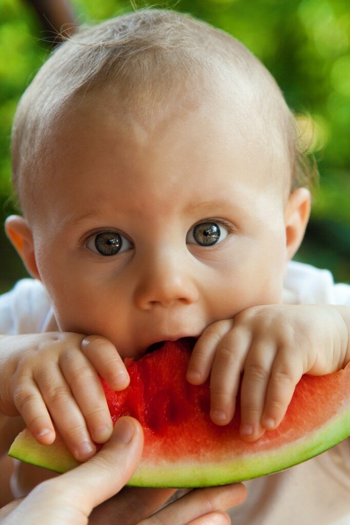 A baby without teeth eats a watermelon 