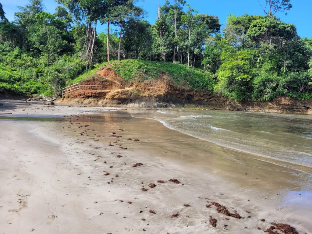 a mushroom shaped beach in Calovebora with the jungle behind 