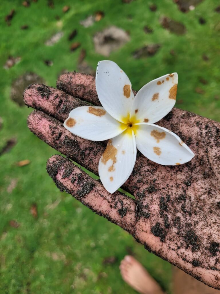 A flower held by a sandy hand from Santa Catalina 