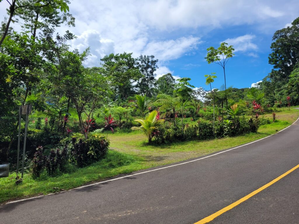 a parking lot by the roas in the jungle of santa fe