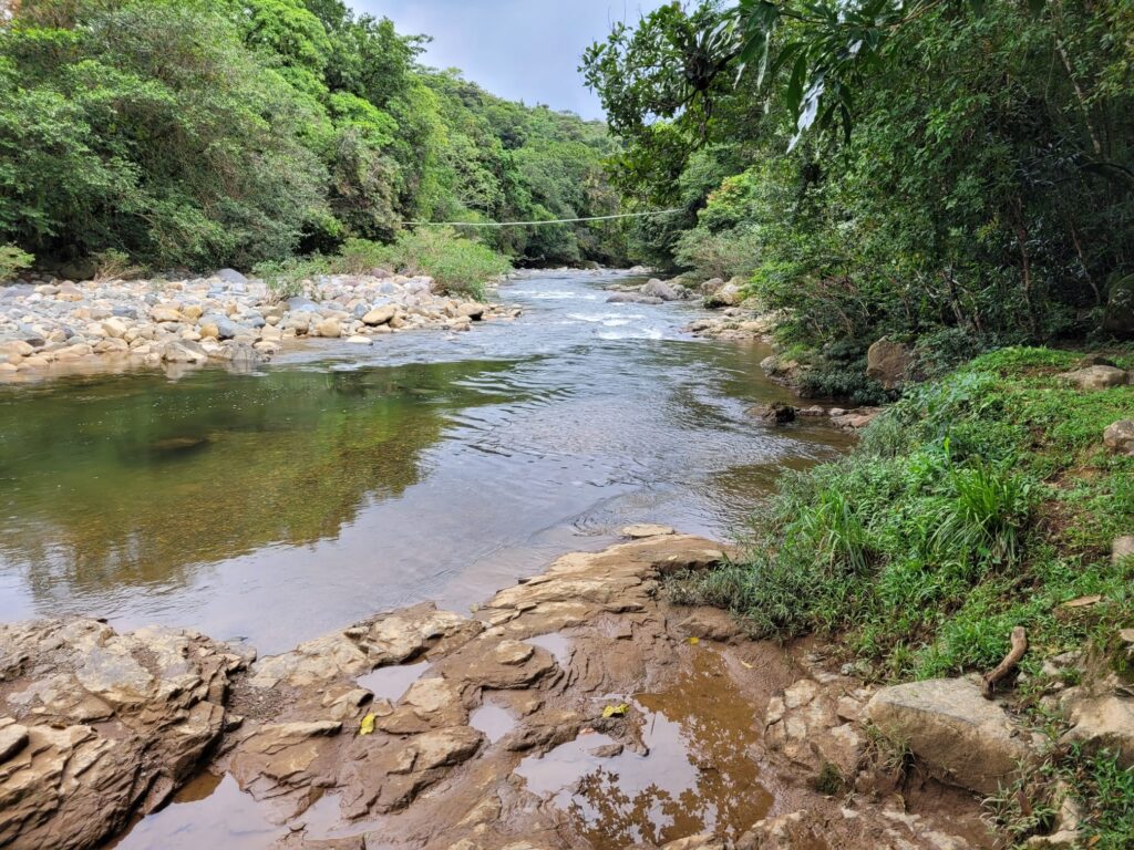 river stream of Las Lajas with the jungle around 