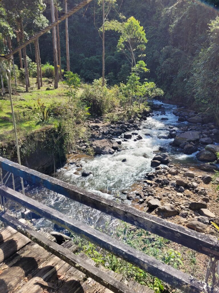 A bridge over a river stream in Jardin 