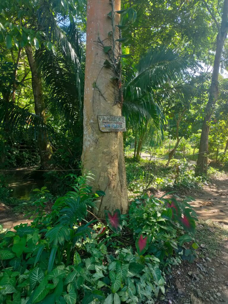 A sign marking the trail between Capurgana and el Aguacate