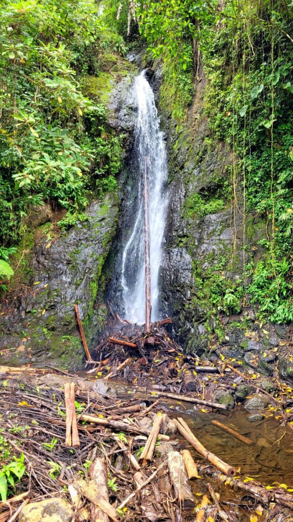 A waterfall 