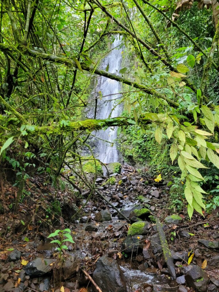 La France waterfall 