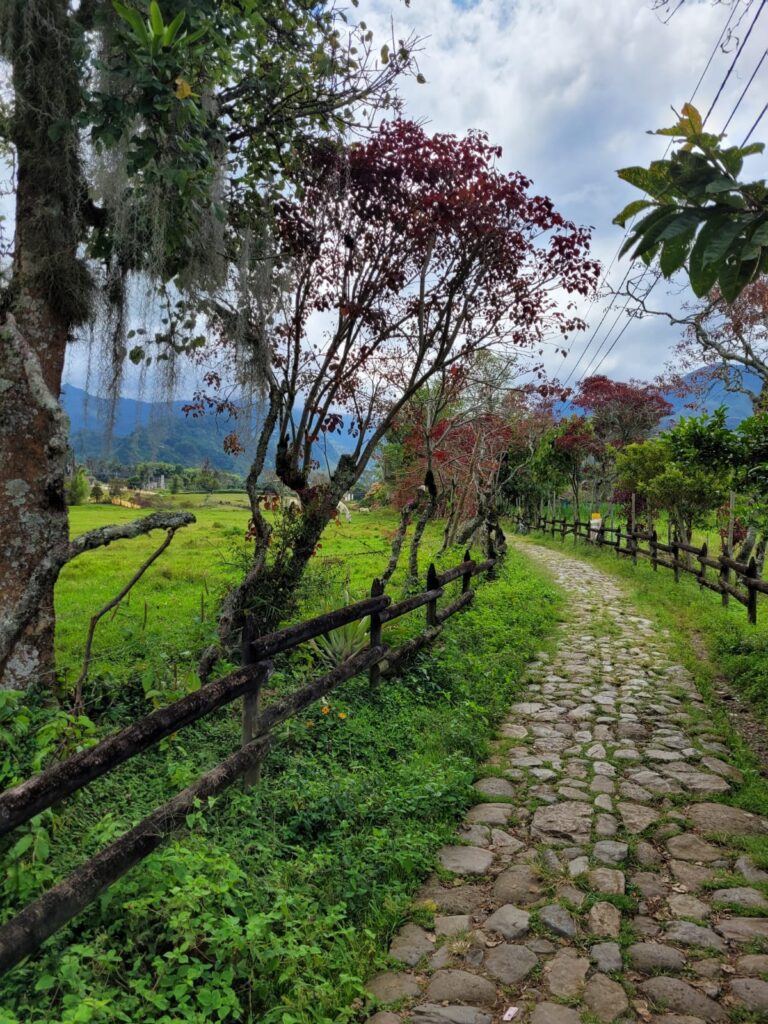 A walking trail in Jardin leading to cascada del amor